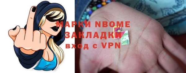 шишки Абаза