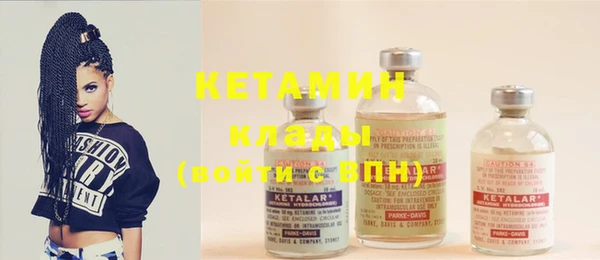 шишки Абаза