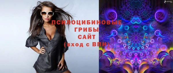 хмурый Алексеевка