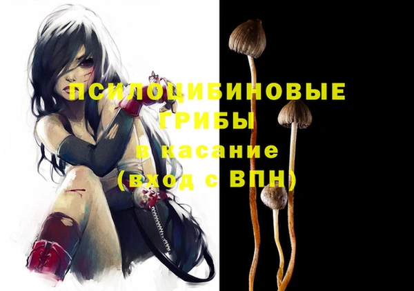 шишки Абаза