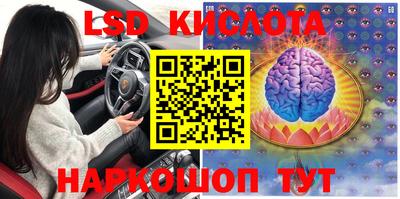 крисы Донской