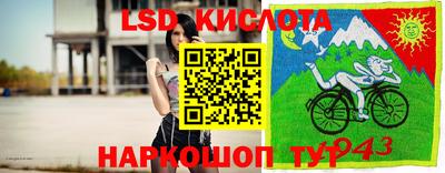крисы Донской