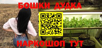 крисы Донской