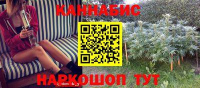 винт Дубна