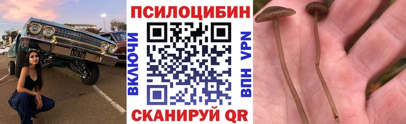 hydra tor  Орск  Галлюциногенные грибы мухоморы 