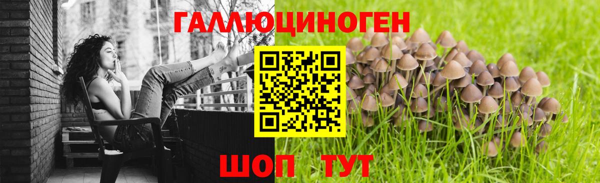 Псилоцибиновые грибы мухоморы  Галлюциногенные грибы мицелий  Орск  Вход с VPN 